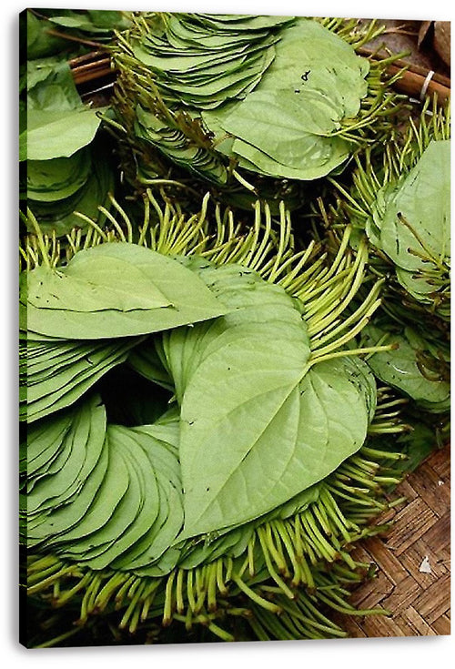 Betel Leaves Decorative Painting (paper and canvas) art poster printing print