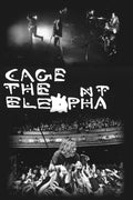 Cage the Elephant Decorative Painting (paper and canvas) art poster printing print