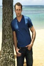 Alex O'Loughlin poster features the actor in a blue V-neck shirt leaning beside a palm tree on a sandy beach.