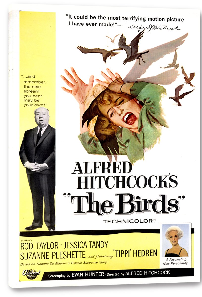 The Birds movie poster canvas print depicts a terrified woman shielding herself from black birds, with Hitchcock on a yellow panel.