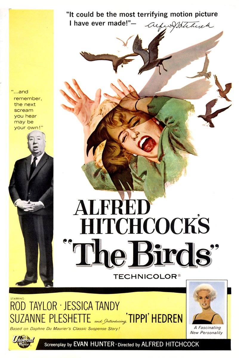 The Birds movie poster wall art print features a screaming woman in green under attacking black birds, beside Alfred Hitchcock.