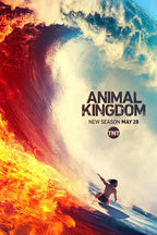 Animal Kingdom poster features a shirtless surfer riding beneath a curling wave split by fiery orange surf and blue water.