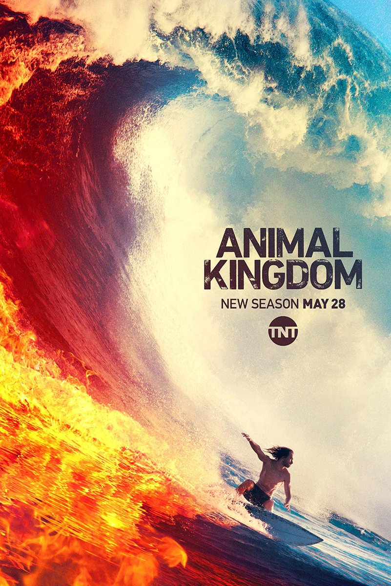 Animal Kingdom poster features a shirtless surfer riding beneath a curling wave split by fiery orange surf and blue water.