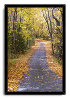 Autumn forest path wall art print in a black frame, with a leaf-covered winding trail through golden trees.