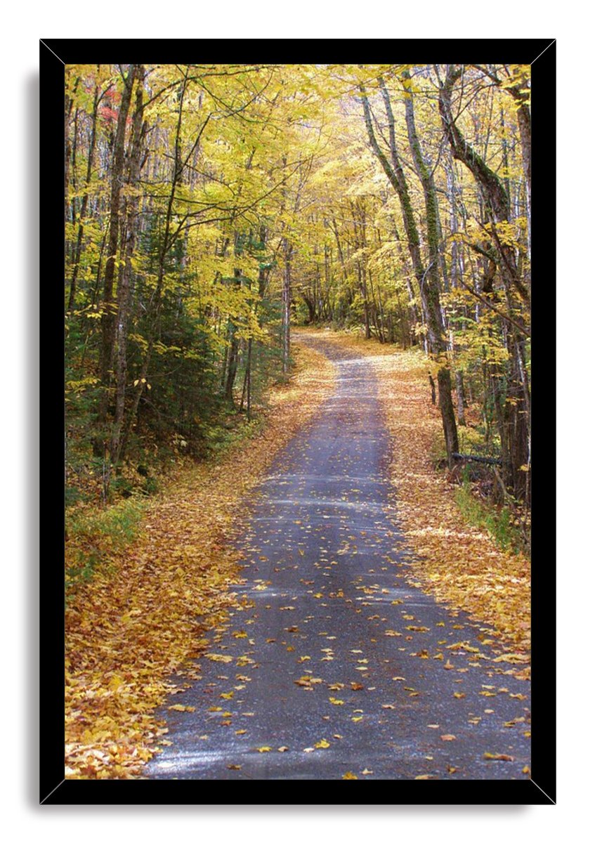 Autumn forest path wall art print in a black frame, with a leaf-covered winding trail through golden trees.