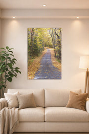 Autumn Forest Path in a bright living room above a beige sofa.
