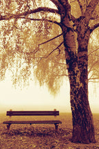 Autumn park bench wall art print with a large textured tree, falling leaves, and golden mist over a leaf-covered ground.