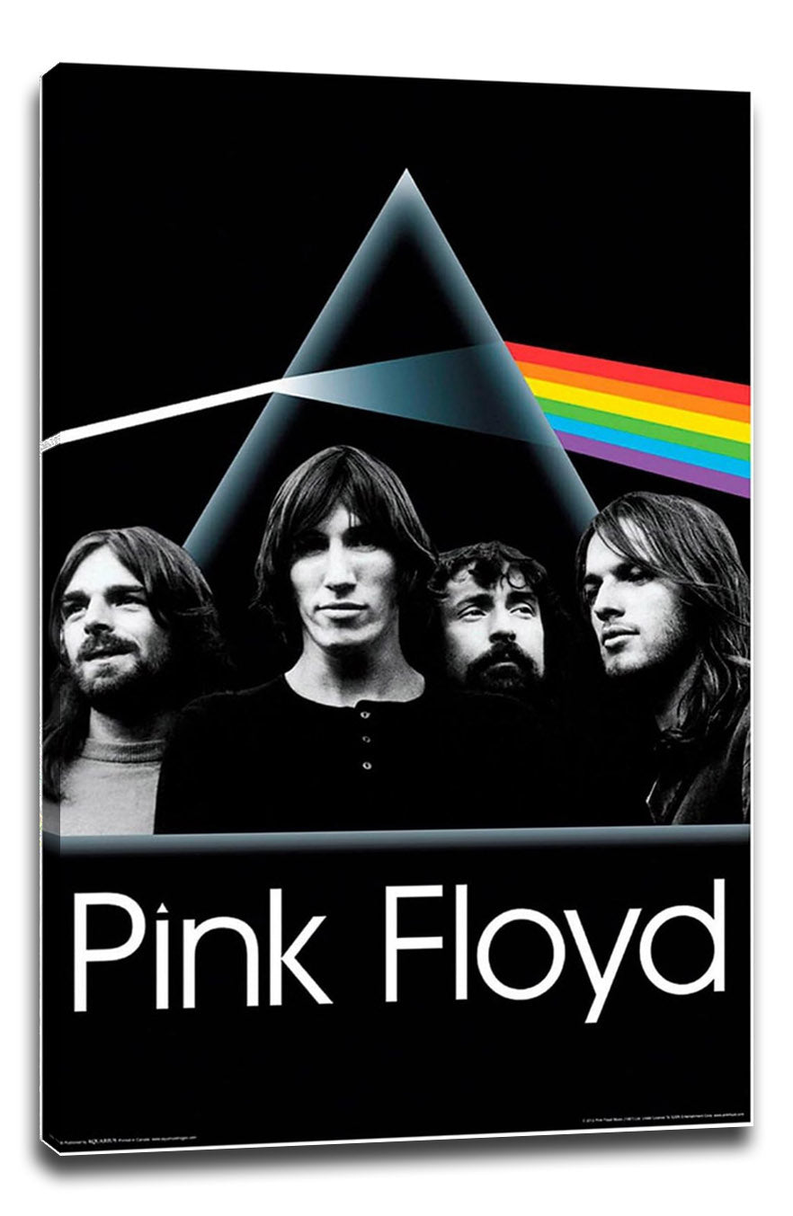 Pink Floyd Dark Side Group Music (Paper and Canvas) Art Poster Printing Print