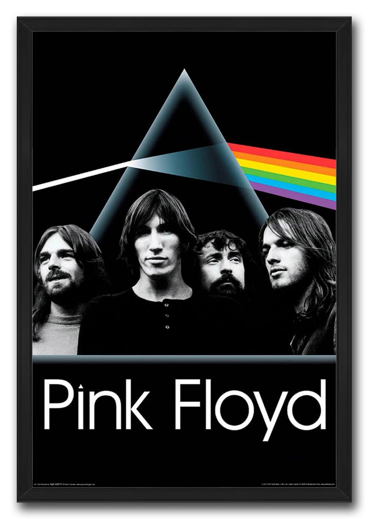Pink Floyd Dark Side Group Music (Paper and Canvas) Art Poster Printing Print