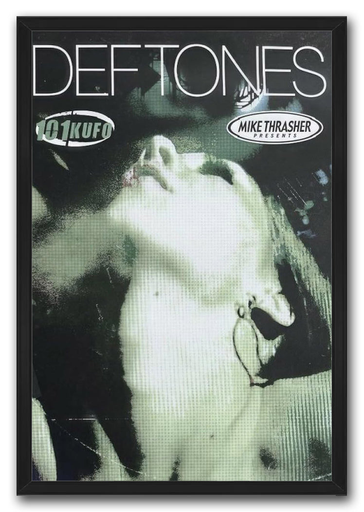 Deftones Vintega Music (Paper and Canvas) Art Poster Printing Print