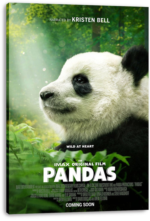 Baby panda canvas wall art print featuring a close-up cub in a sunlit green forest with Pandas movie typography.