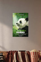 Baby Panda in a cozy movie room above a brown sofa with popcorn.
