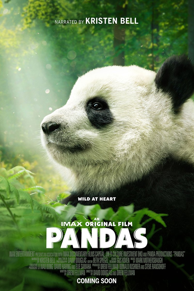 Baby panda poster with a close-up cub among lush green ferns, featuring Pandas film title and Kristen Bell credit.