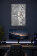 Barred Owl in a gaming desk setup above a monitor.