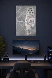 Barred Owl in a gaming desk setup above a monitor.