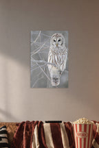 Barred Owl in a cozy movie room above a brown sofa with popcorn.