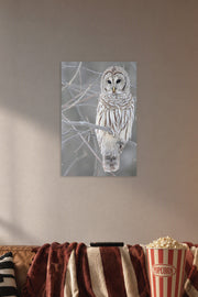 Barred Owl in a cozy movie room above a brown sofa with popcorn.