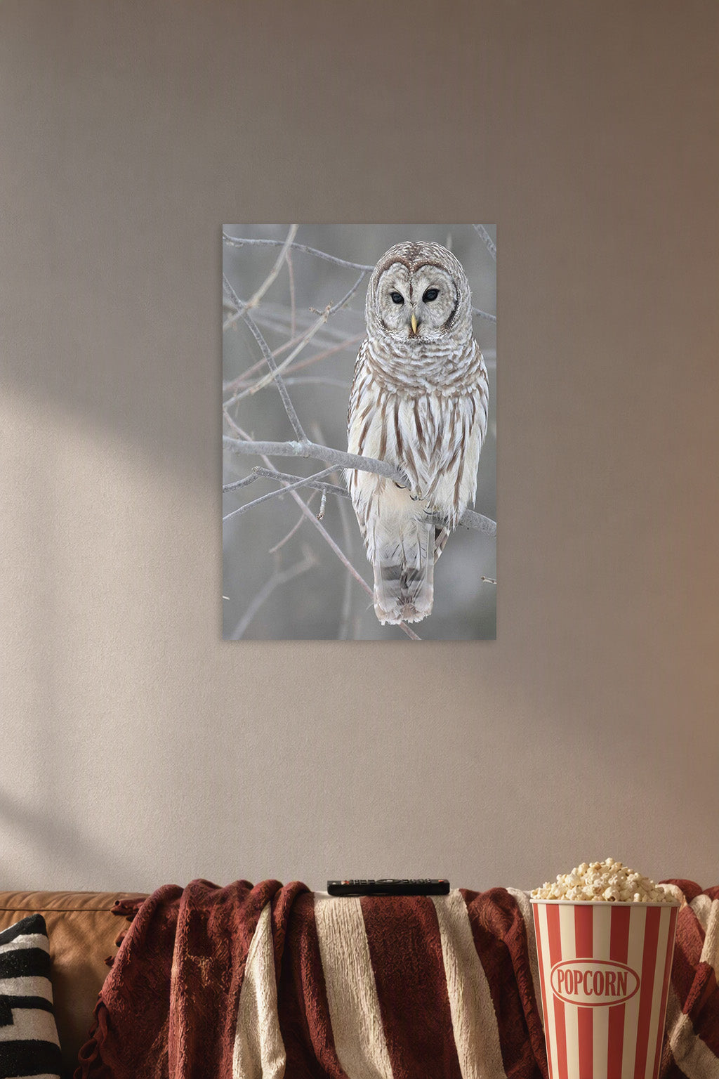 Barred Owl in a cozy movie room above a brown sofa with popcorn.