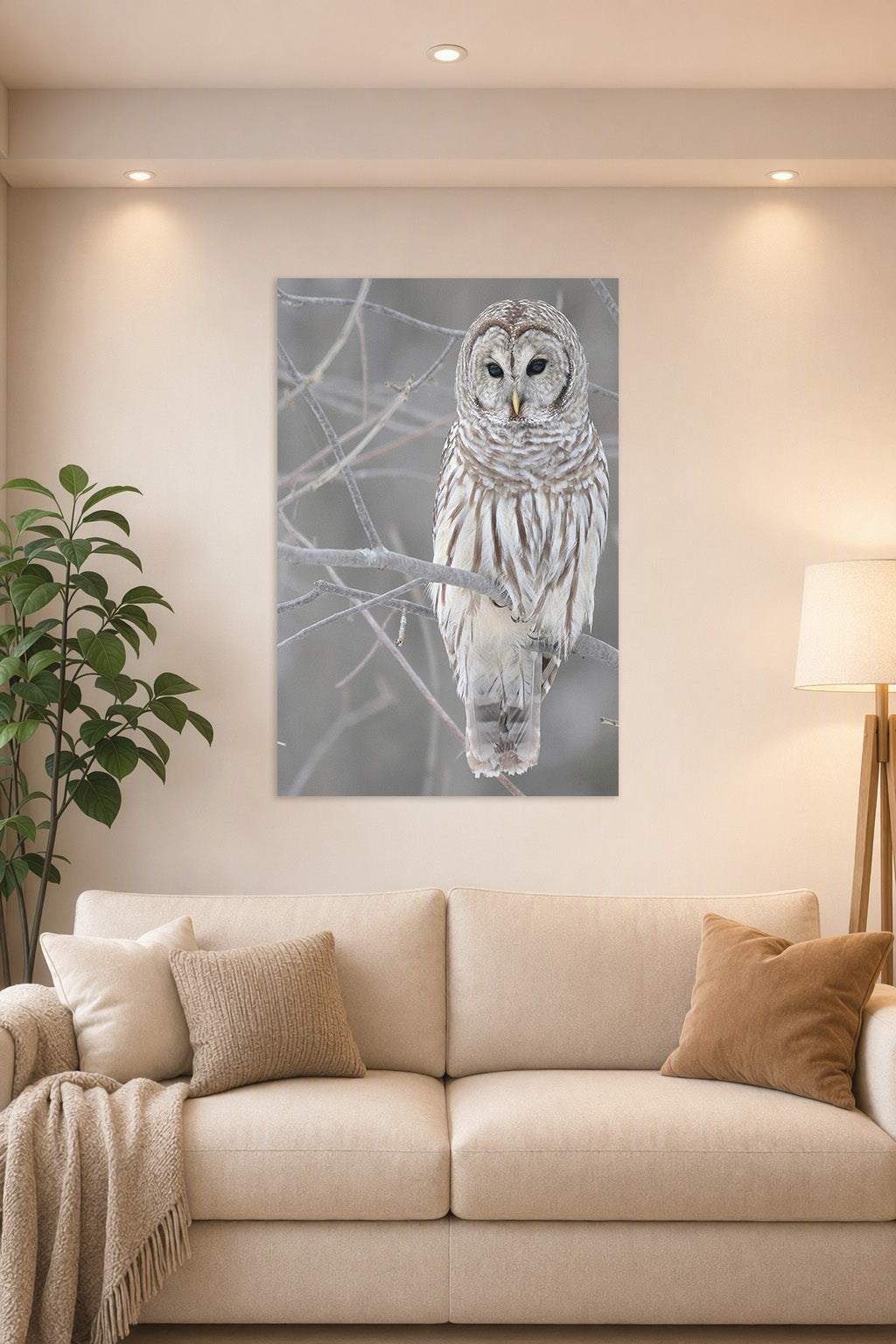Barred Owl in a bright living room above a beige sofa.