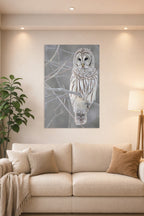 Barred Owl in a bright living room above a beige sofa.