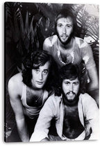Bee Gees canvas wall art print featuring a black-and-white portrait of three band members against leafy foliage.