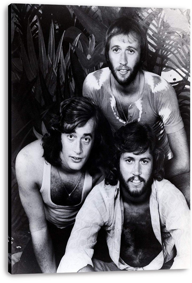 Bee Gees canvas wall art print featuring a black-and-white portrait of three band members against leafy foliage.