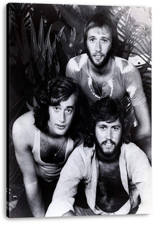 Bee Gees canvas wall art print featuring a black-and-white portrait of three band members against leafy foliage.