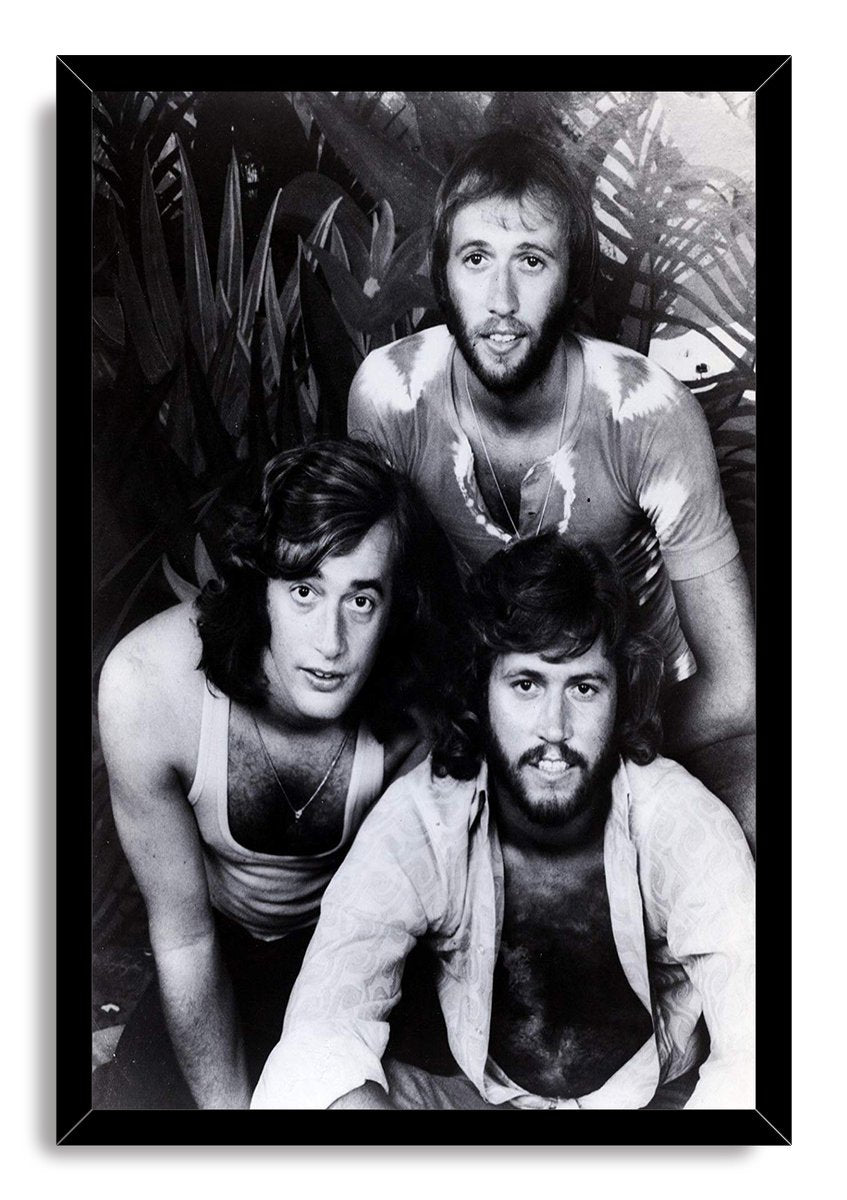 Bee Gees framed wall art print with a glossy black border around a monochrome trio portrait amid plants.