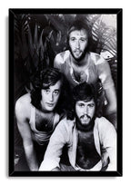 Bee Gees framed wall art print with a glossy black border around a monochrome trio portrait amid plants.