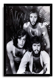 Bee Gees framed wall art print with a glossy black border around a monochrome trio portrait amid plants.