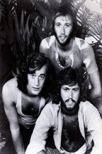 Bee Gees wall art print in black and white, with three long-haired band members posed among tropical leaves.