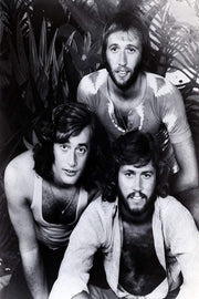 Bee Gees wall art print in black and white, with three long-haired band members posed among tropical leaves.