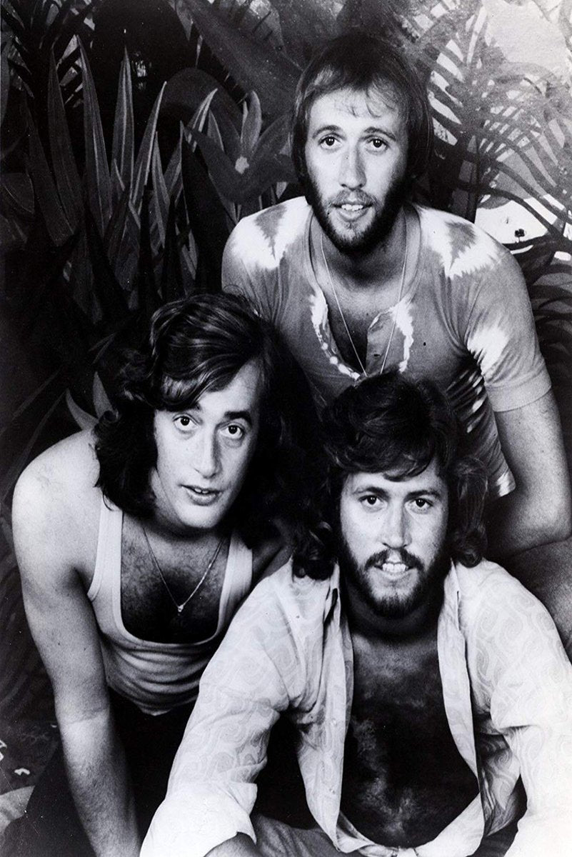 Bee Gees wall art print in black and white, with three long-haired band members posed among tropical leaves.