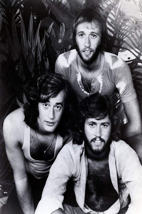 Bee Gees wall art print in black and white, with three long-haired band members posed among tropical leaves.
