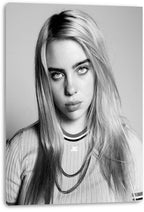 Billie Eilish canvas wall art print displays a monochrome portrait of the singer with long hair, direct gaze, and layered necklaces.