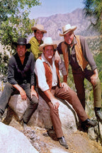 Bonanza poster depicts four cowboy-hatted men posing on boulders amid leafy trees, dry grass, and purple mountains.