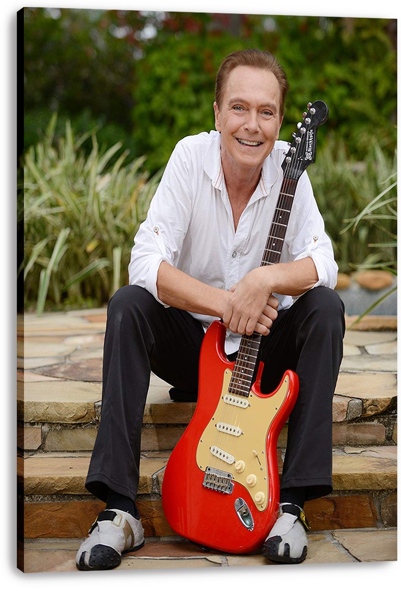 David Cassidy canvas wall art print featuring the singer in a white shirt beside a red electric guitar outdoors.