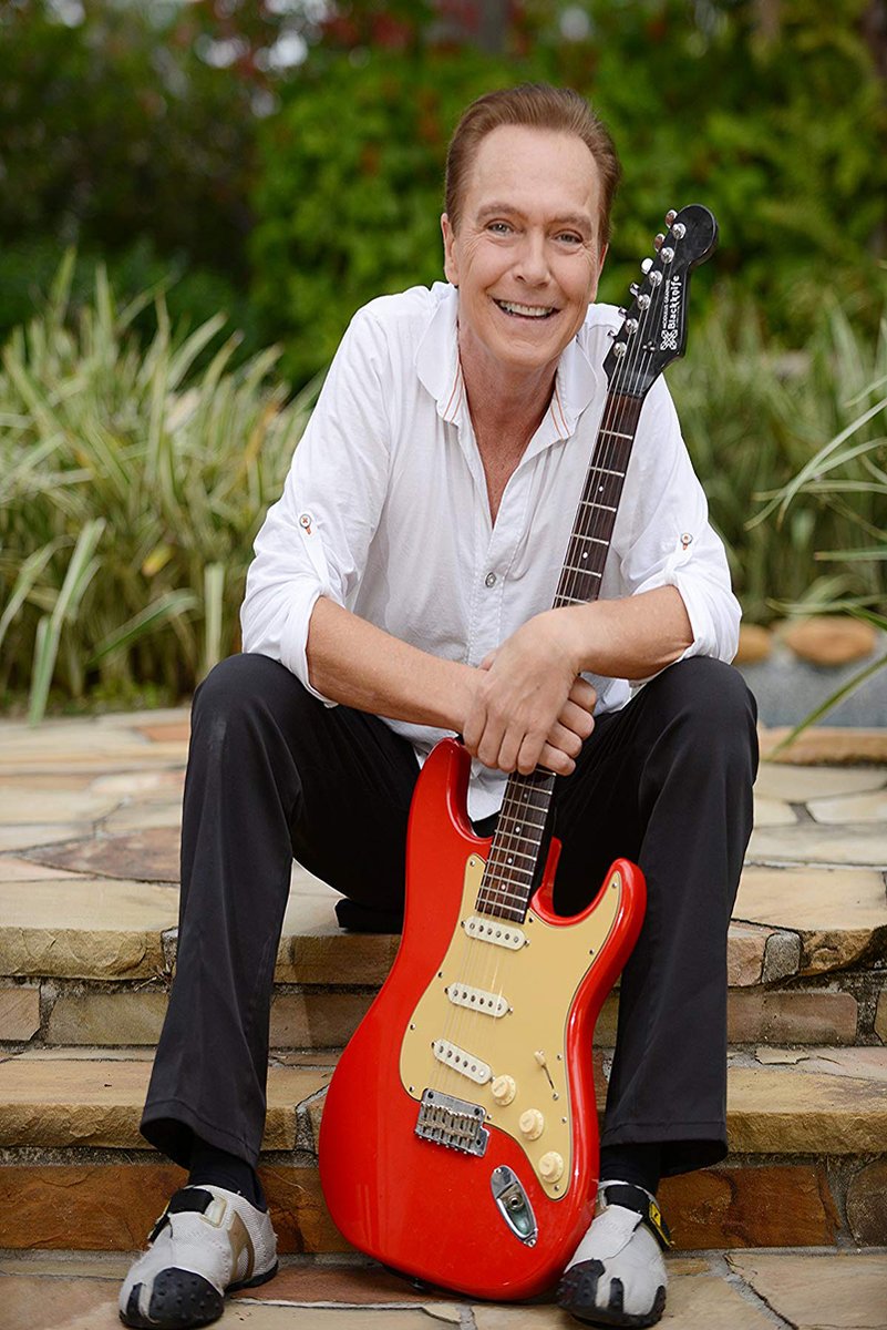 David Cassidy poster portrait of the smiling singer seated on stone steps with a red electric guitar and green garden backdrop.