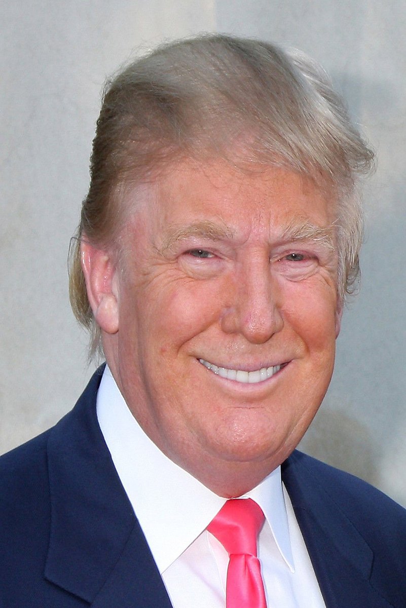 Donald Trump poster portrait with a smiling close-up in a navy suit, white shirt, and bright pink tie against gray.
