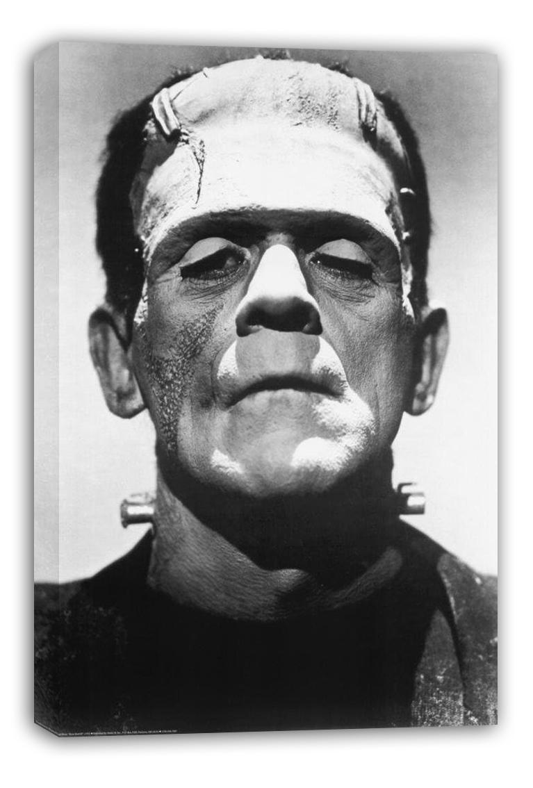 Frankenstein Boris Karloff canvas wall art displays a black-and-white monster portrait with neck bolts, wrapped canvas edges, and a white backdrop.