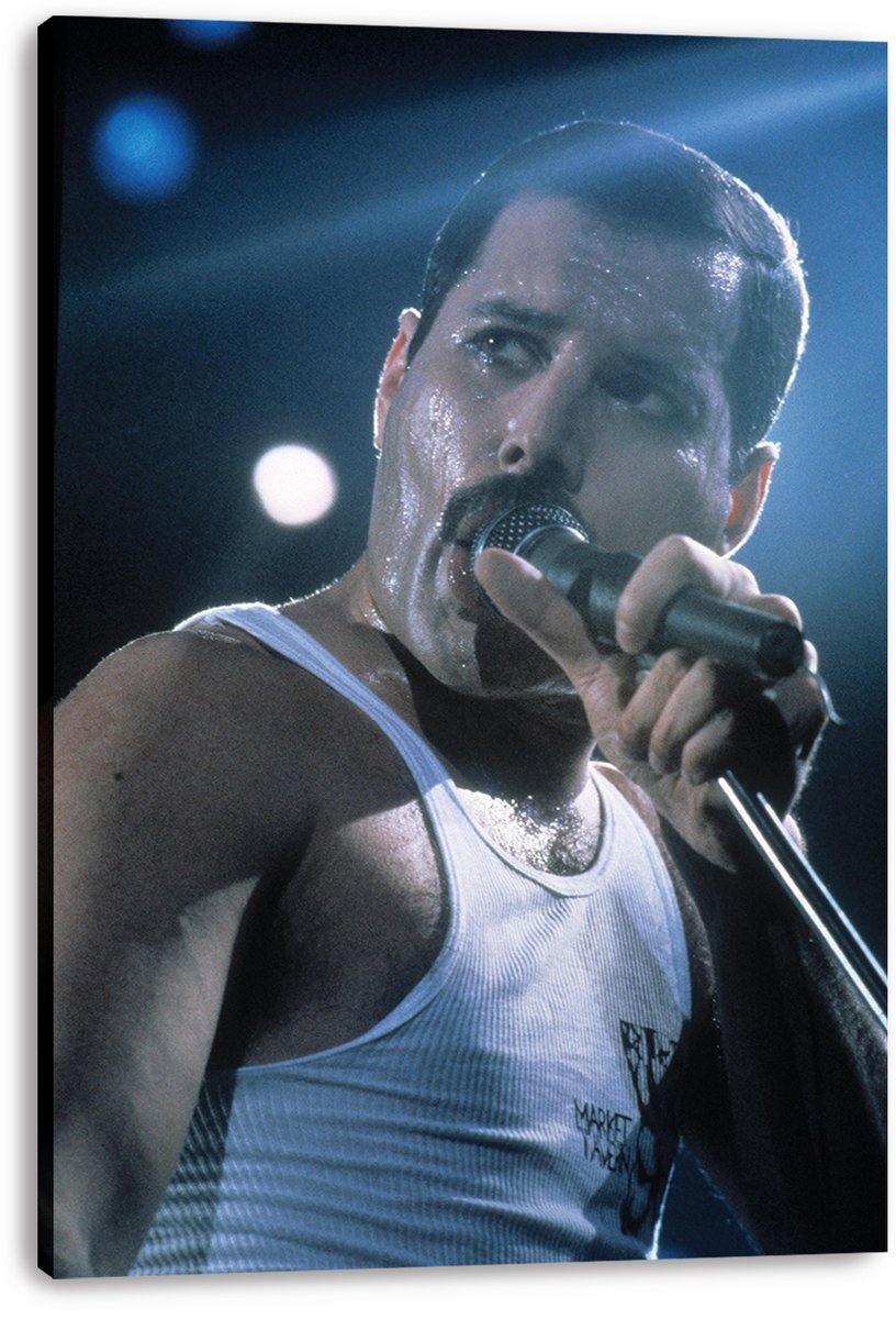 Freddie Mercury canvas wall art print features a close-up concert portrait with a handheld microphone and blue spotlights.