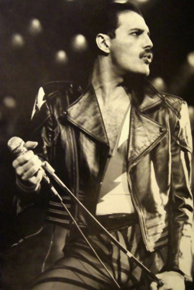 Freddie Mercury poster in black and white, holding a microphone stand in a leather jacket beneath blurred stage lights.
