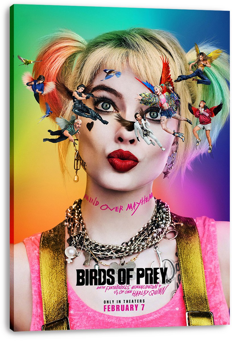 Harley Quinn canvas wall art print displays her red-lipped portrait, colorful pigtails, airborne characters, birds, and film title.