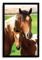 Horses framed wall art print with a black border, portraying a brown mare and foal standing close together outdoors.
