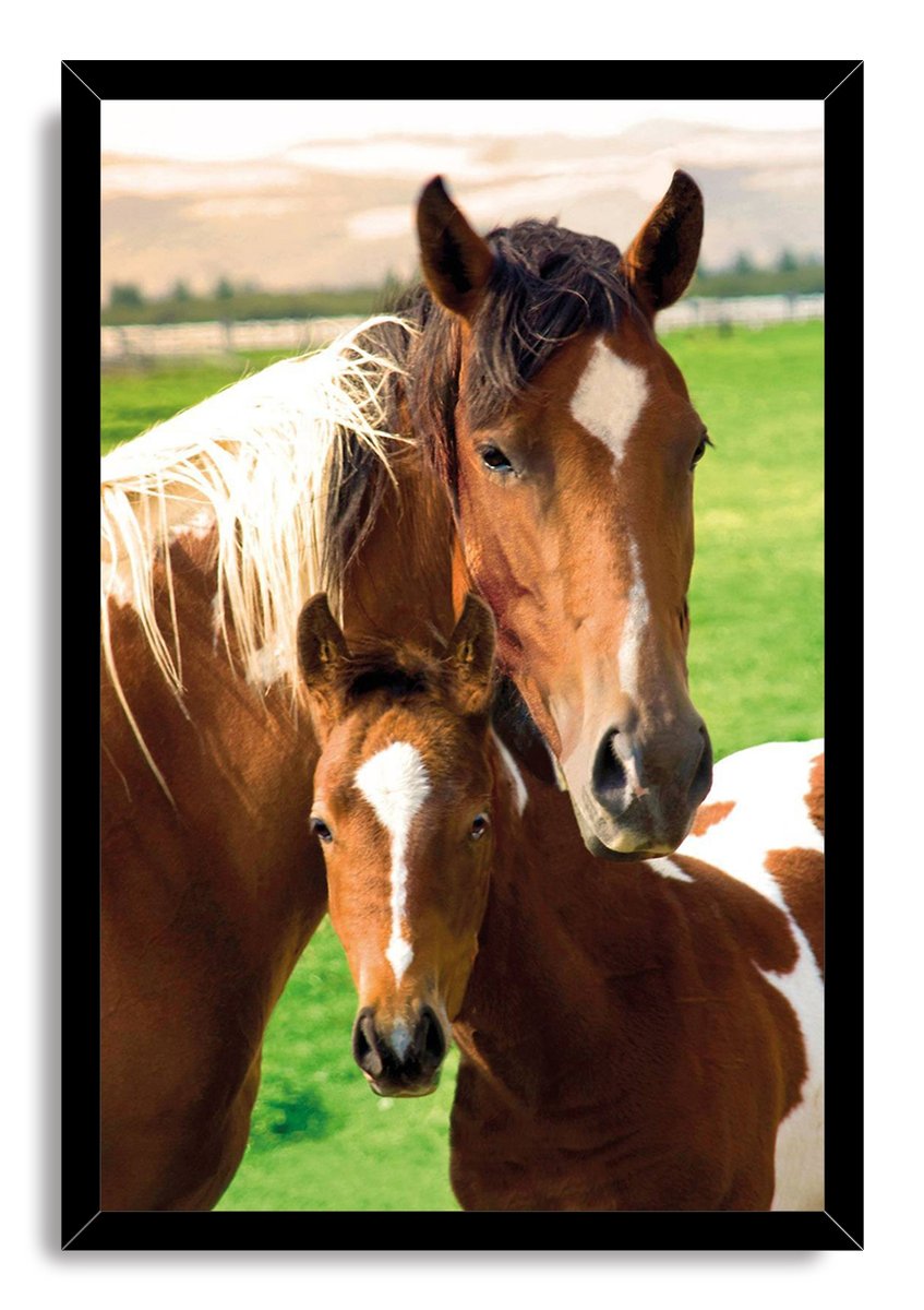 Horses framed wall art print with a black border, portraying a brown mare and foal standing close together outdoors.