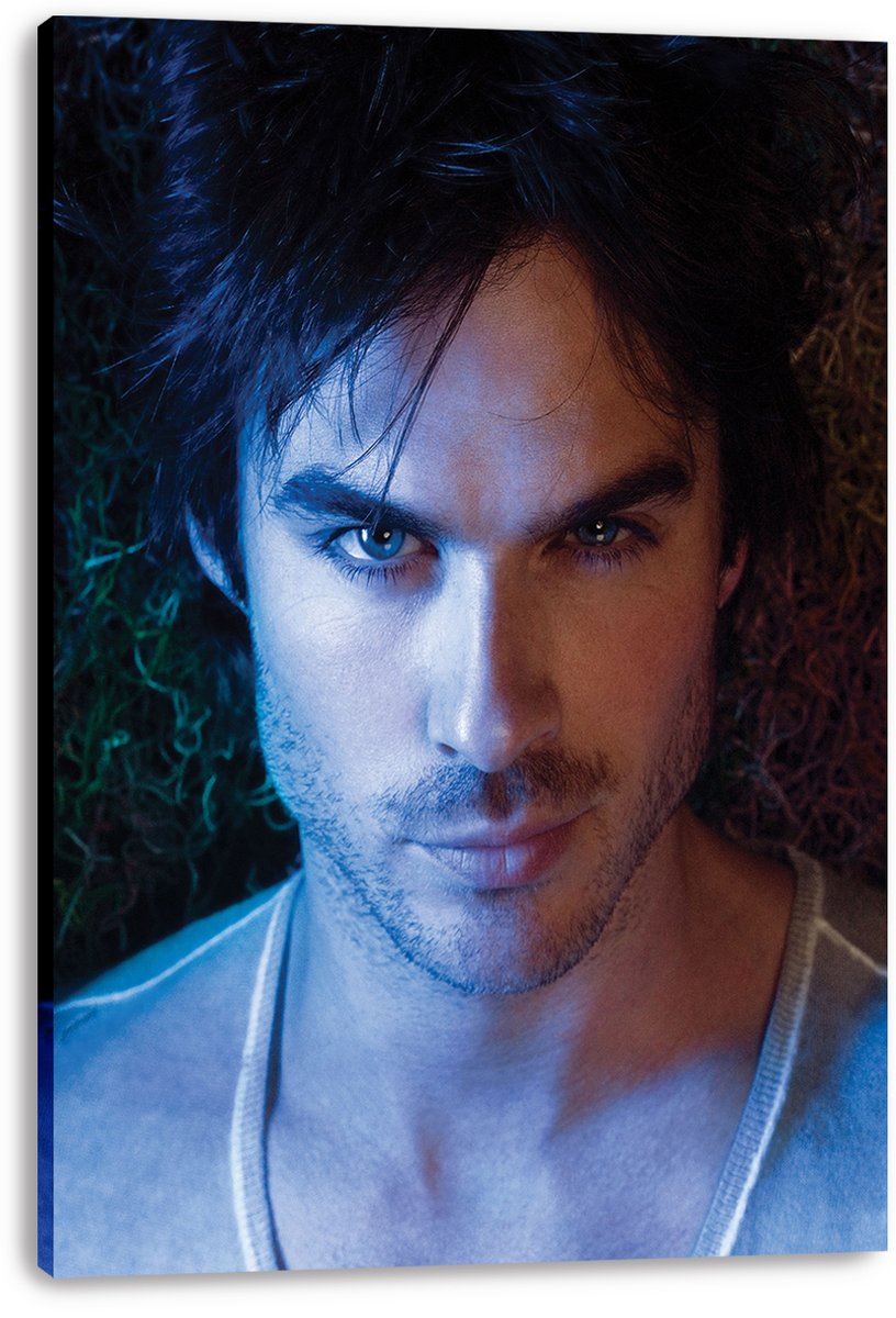 Ian Somerhalder canvas wall art print presents his intense close-up portrait in a deep gallery-wrapped canvas with blue and amber tones.
