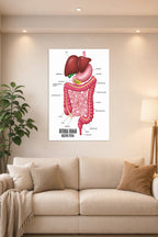 Internal Human Digestive System in a bright living room above a beige sofa.