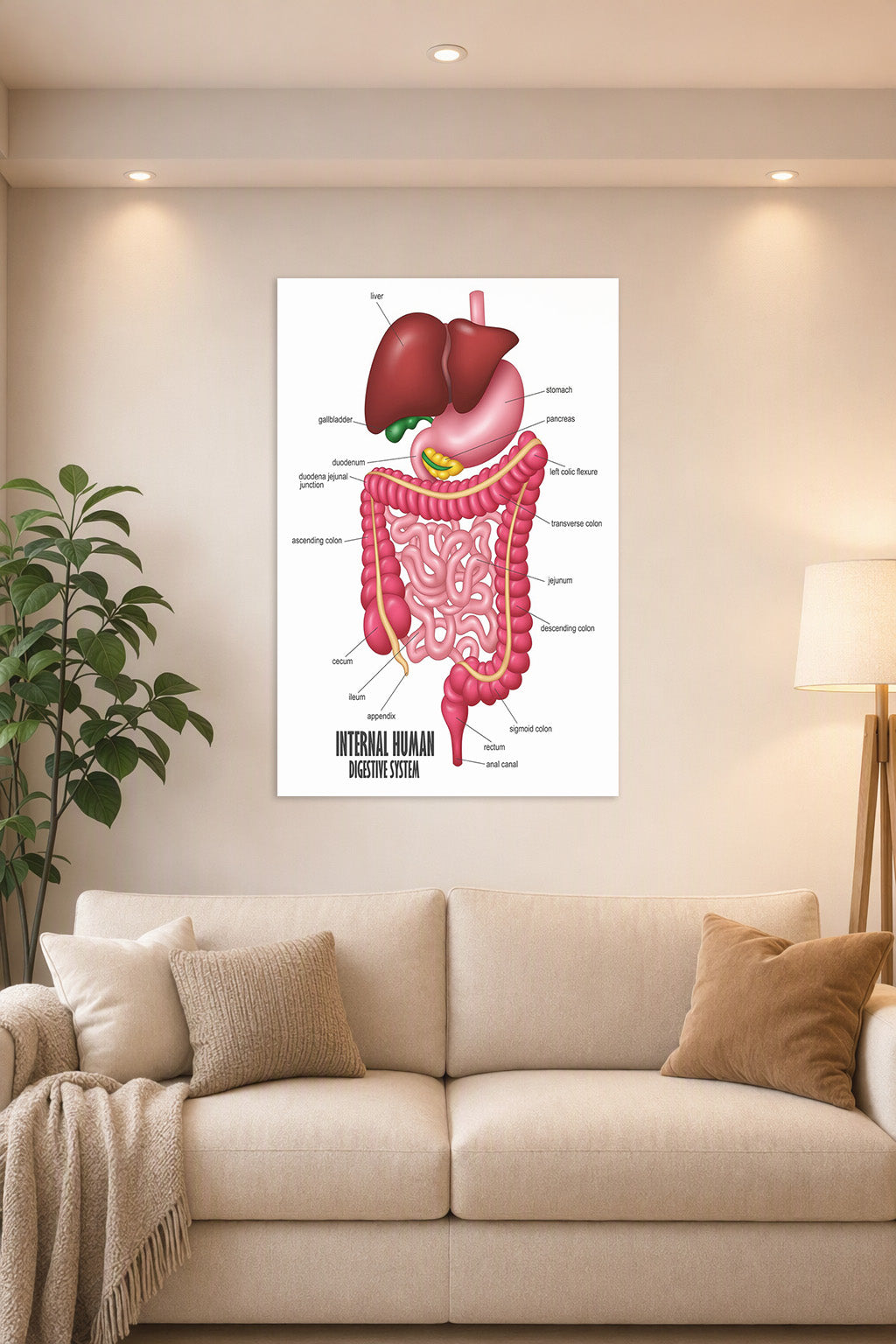 Internal Human Digestive System in a bright living room above a beige sofa.