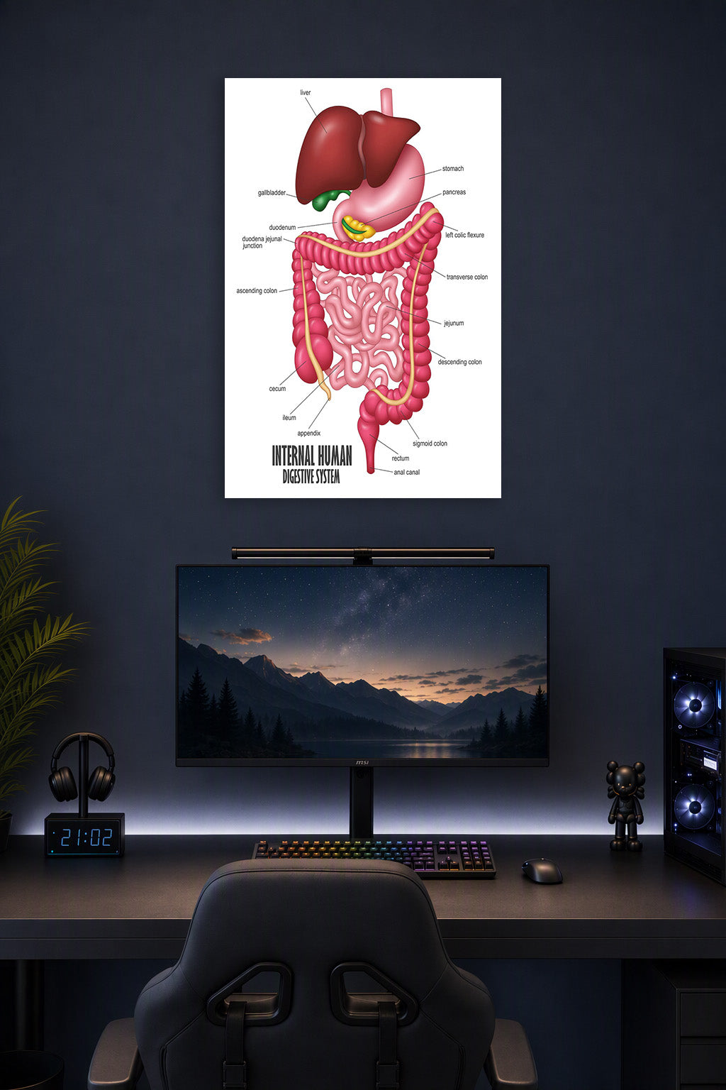 Internal Human Digestive System in a gaming desk setup above a monitor.