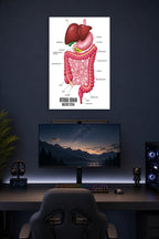 Internal Human Digestive System in a gaming desk setup above a monitor.